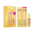 frizz fighters set anti-frizz shampoo, conditioner + treatment