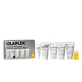 THE HEALTHY HAIR DISCOVERY SET