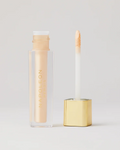 CAMERA FINISH CONCEALER