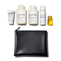 THE HEALTHY HAIR TRAVEL SET