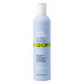 NO FRIZZ PERFECTING SHAMPOO 300ML