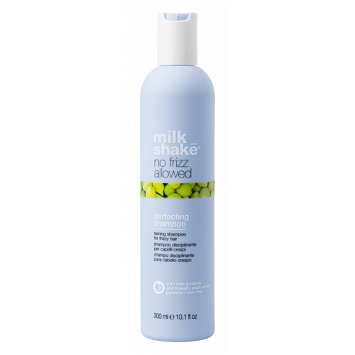 NO FRIZZ PERFECTING SHAMPOO 300ML
