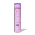 big hit volumizing conditioner