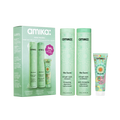 mane menders strength repair wash + care set